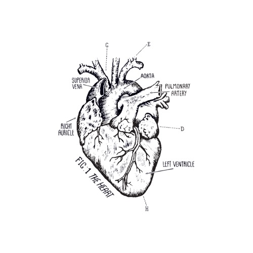 [Tattly] Heart Chart Pairs